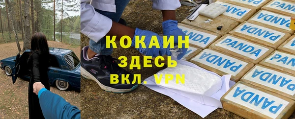 ПСИЛОЦИБИНОВЫЕ ГРИБЫ Арсеньев