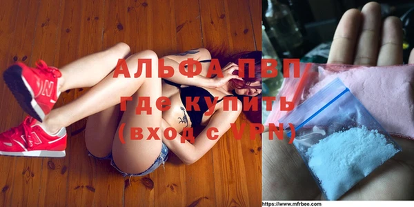прущие крисы Пересвет