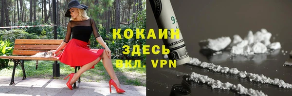 амф Пестово