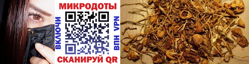 kraken вход как найти закладки Магадан Галлюциногенные грибы GOLDEN TEACHER